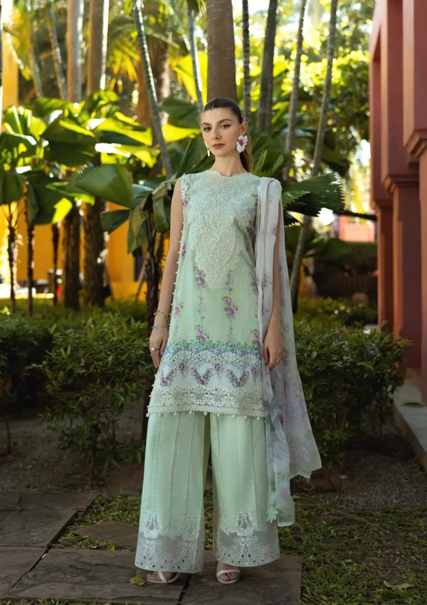 Elaf Premium | Signature 25 | ARIA