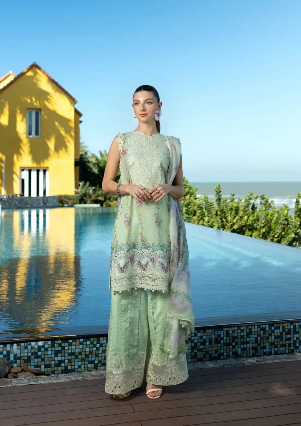 Elaf Premium | Signature 25 | ARIA - Image 3